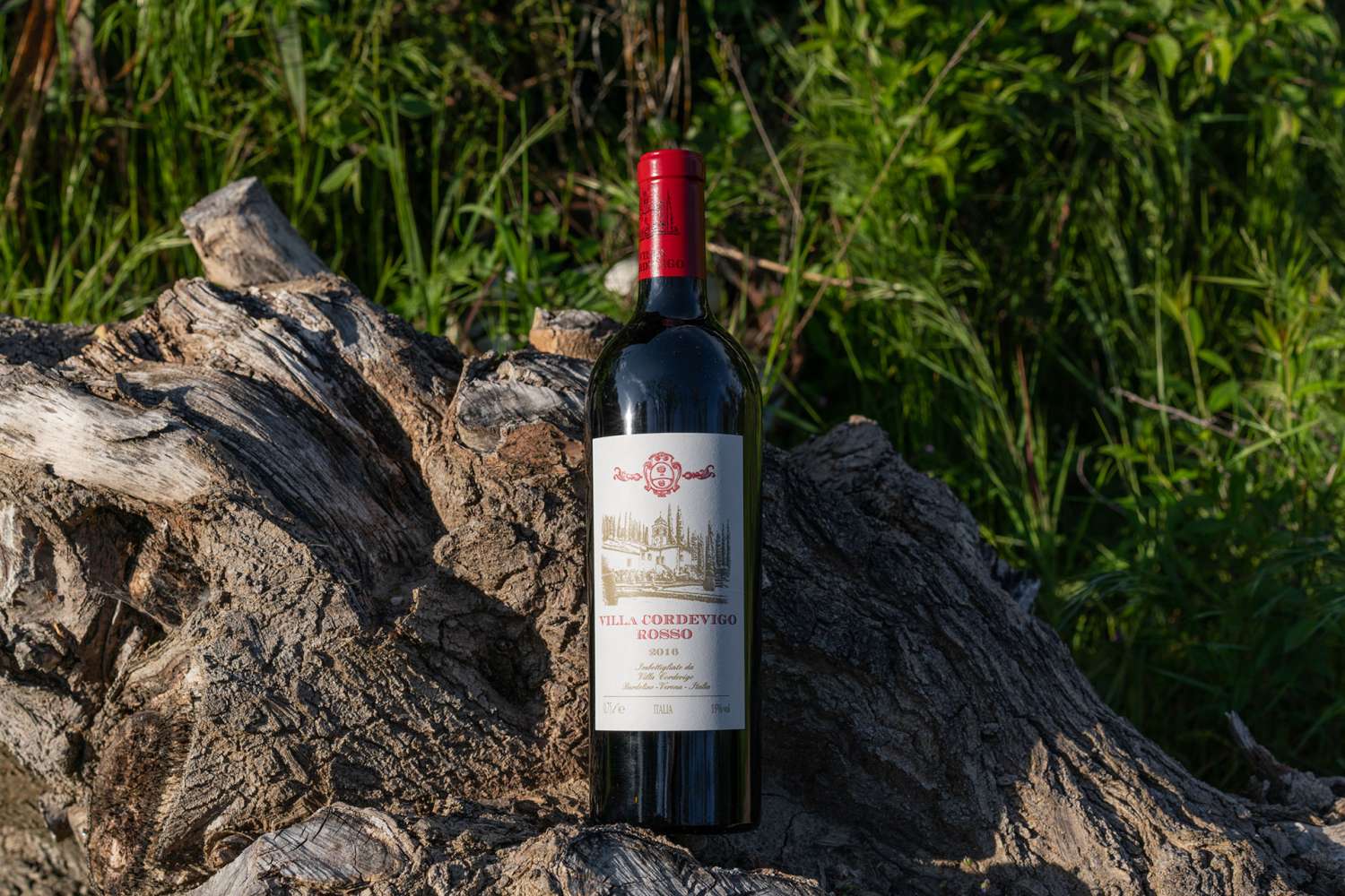 Degustazioni Degustazioni