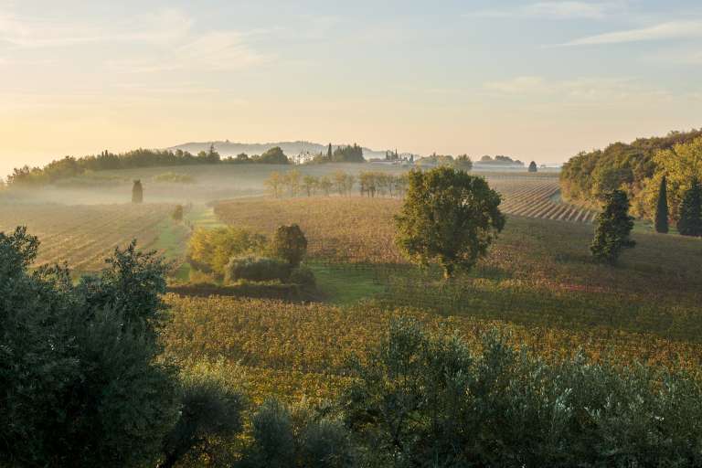 Vino e storia Vino e storia