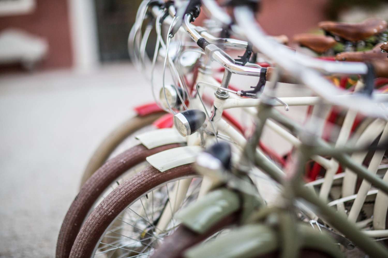 Passeggiate in bici o a piedi Passeggiate in bici o a piedi